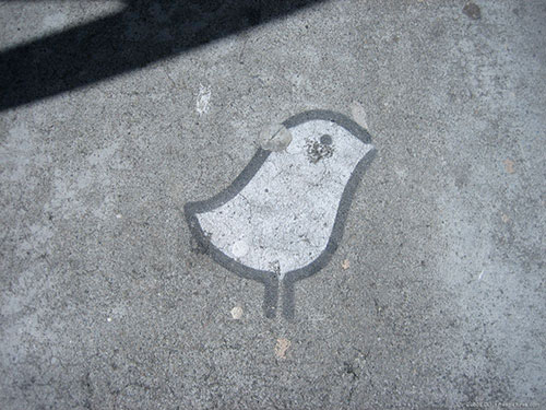 Chick