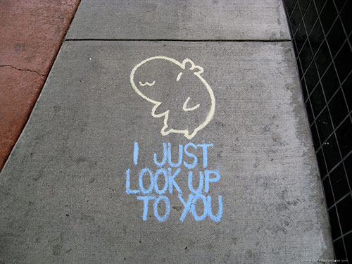 Street critter